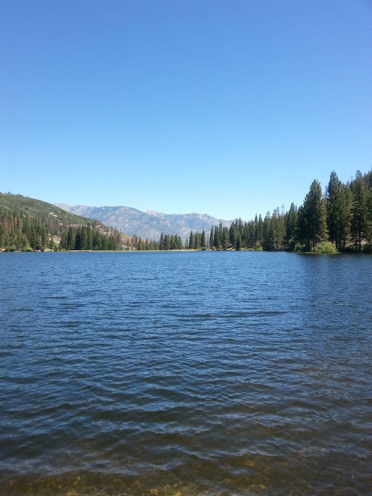 Deciding to Move&nbsp;North